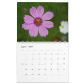 Schöne rosa Blume Kalender (Mär 2027)