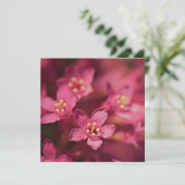 Schöne rosa Blume Karte (Stehend Vorderseite)