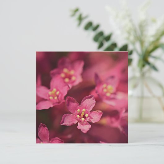 Schöne rosa Blume Karte (Stehend Vorderseite)