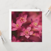 Schöne rosa Blume Karte (Vorderseite/Rückseite Beispiel)