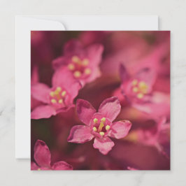 Schöne rosa Blume Karte