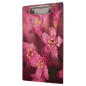 Schöne rosa Blume Klemmbrett (Links)