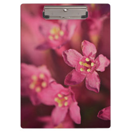 Schöne rosa Blume Klemmbrett