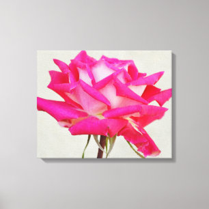 Schöne Rosa Blume Künstlerisch Canvas Print Leinwanddruck
