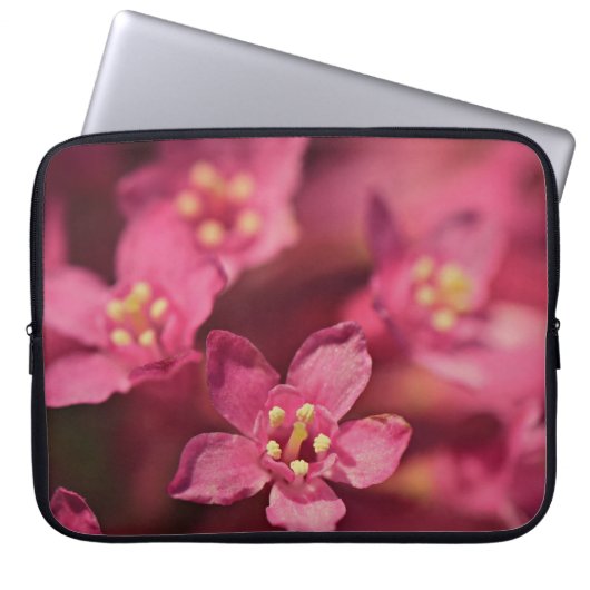 Schöne rosa Blume Laptopschutzhülle (Vorderseite)