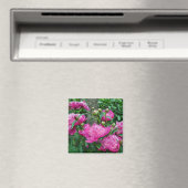 Schöne Rosa-Blume Magnet (In Situ (Geschirrspüler))