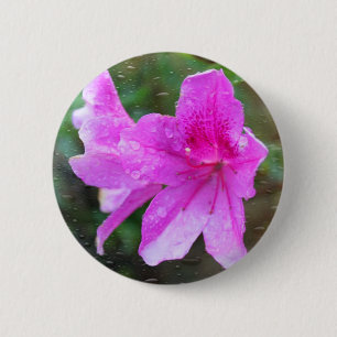 Schöne, rosa Blume mit Regentropfen. Blumen Button