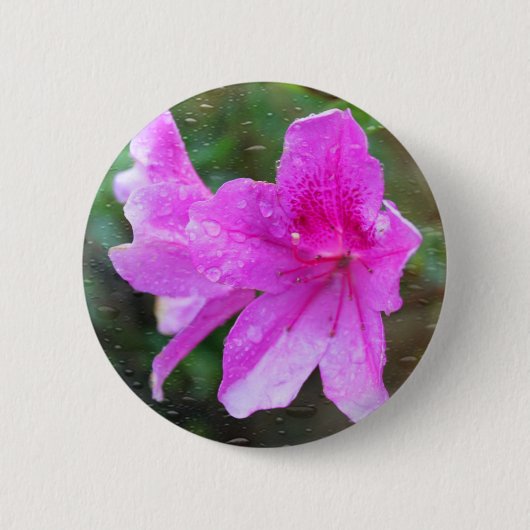Schöne, rosa Blume mit Regentropfen. Blumen Button (Vorderseite)