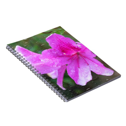 Schöne, rosa Blume mit Regentropfen. Blumen Notizblock (Rechte Seite)