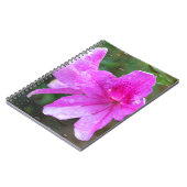 Schöne, rosa Blume mit Regentropfen. Blumen Notizblock (Linke Seite)