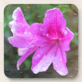 Schöne, rosa Blume mit Regentropfen. Blumen Untersetzer (Vorderseite)