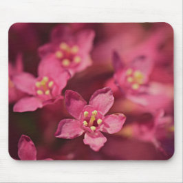 Schöne rosa Blume Mousepad