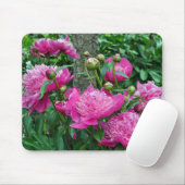 Schöne Rosa-Blume Mousepad (Mit Mouse)