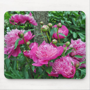 Schöne Rosa-Blume Mousepad
