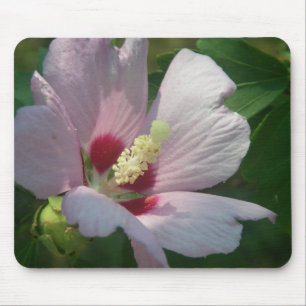 Schöne rosa Blume Mousepad