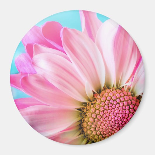 Schöne rosa Blume Nah Up Foto Magnet (Vorne)