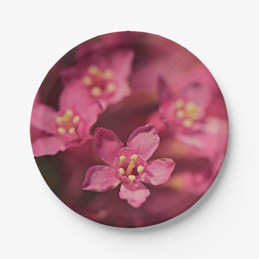 Schöne rosa Blume Pappteller (Vorderseite)