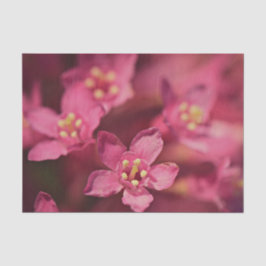 Schöne rosa Blume Seidenpapier