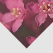 Schöne rosa Blume Seidenpapier (Ausschnitt)