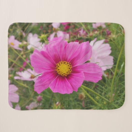 Schöne rosa Blume Sherpadecke (Vorderseite (Horizontal))