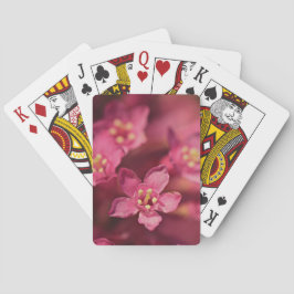 Schöne rosa Blume Spielkarten