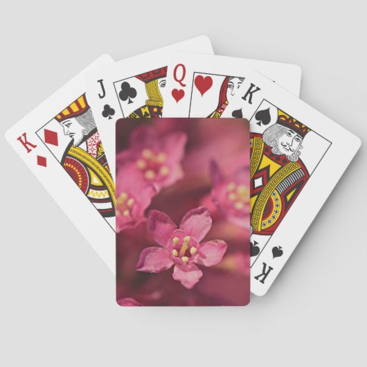 Schöne rosa Blume Spielkarten (Rückseite)