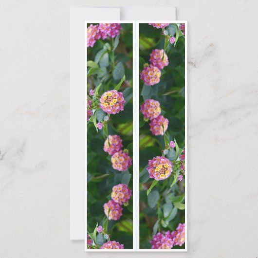 Schöne rosa Blume Zwei Lesezeichen (Vorderseite)