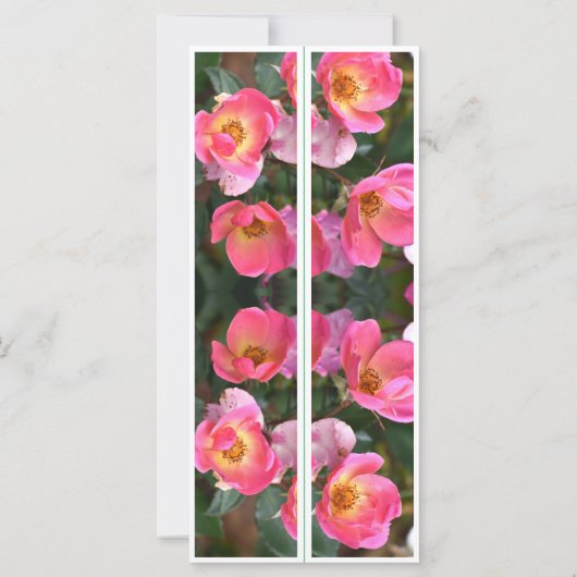 Schöne rosa Blume Zwei Lesezeichen (Rückseite)