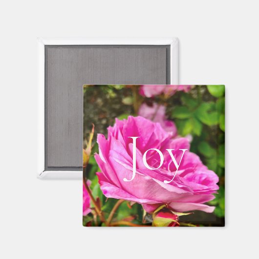Schöne rosa Blumenfreude Magnet (Vorderseite/Rückseite)