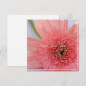 Schöne rosa Chrysanthemum Ihre Text-Flat-Karte (Vorne/Hinten)