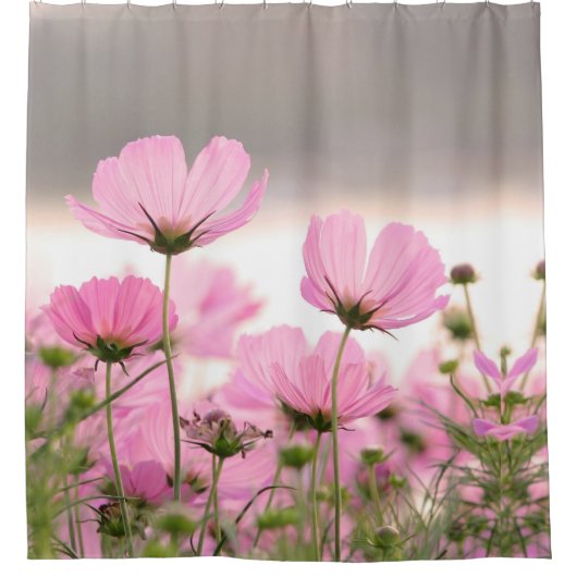 Schöne Rosa Cosmos Garden Blume Blumen Duschvorhang (Vorderseite)