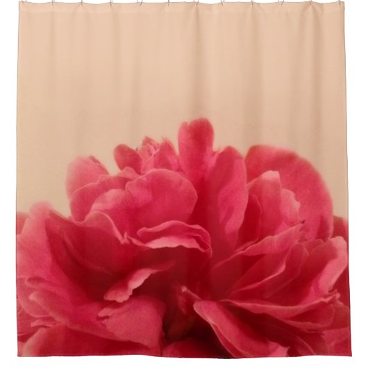 Schöne rosa Creme Duschvorhang (Vorderseite)
