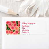 Schöne rosa Dahlias Blume (Insitu)