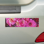 Schöne rosa Dahlien Autoaufkleber (Auf Auto)