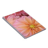 Schöne rosa Dahlien-Blume Notizblock (Rechte Seite)