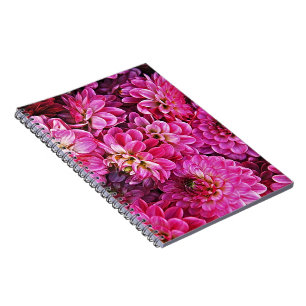 Schöne rosa Dahlien Notizblock
