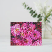 Schöne rosa Dahlien Postkarte (Stehend Vorderseite)