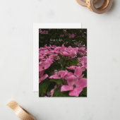 Schöne rosa Dogwood-Blume Mitteilungskarte (Vorderseite/Rückseite Beispiel)