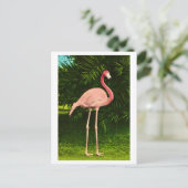 Schöne rosa Flamingo Postkarte (Stehend Vorderseite)