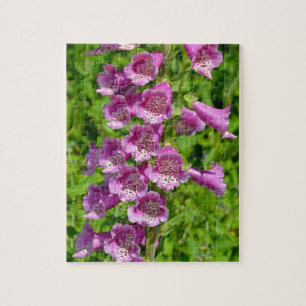 Schöne, rosa Foxglove-Blume Puzzle