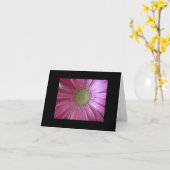 Schöne rosa Gänseblümchen Karte (Gelbe Blume)