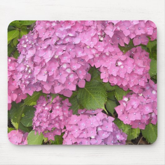Schöne rosa Hortensien Mousepad (Vorne)