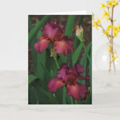 Schöne, rosa Irische Grußkarte im Inneren Karte (Gelbe Blume)