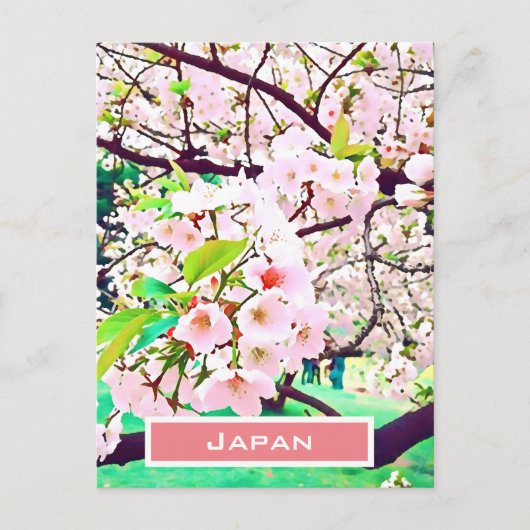 Schöne Rosa Kirschblüte Japan Reise Postkarte (Vorderseite)