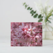 Schöne rosa Kirschblüten Postkarte (Stehend Vorderseite)