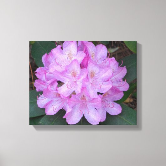 Schöne rosa Leinwand Kunst, Kultur (Vorderseite)