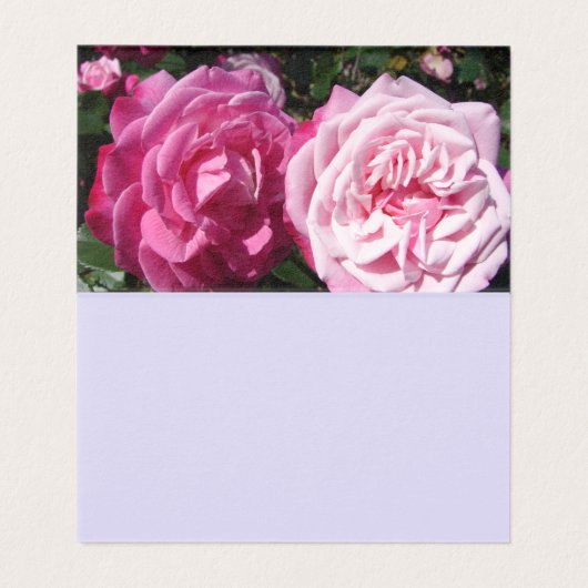 Schöne Rosa Liebe Grüße Karte (Innenseite Aufgefaltet)