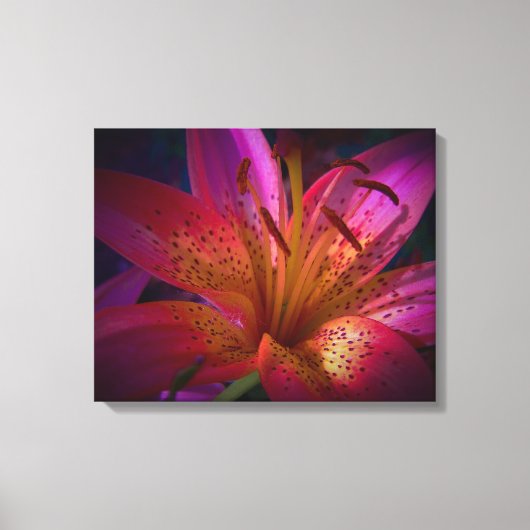 Schöne Rosa Liege Leinwanddruck (Vorderseite)