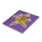 Schöne Rosa Lilie Fliese (Seite)