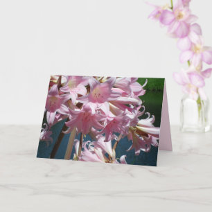 Schöne rosa Lilien Karte
